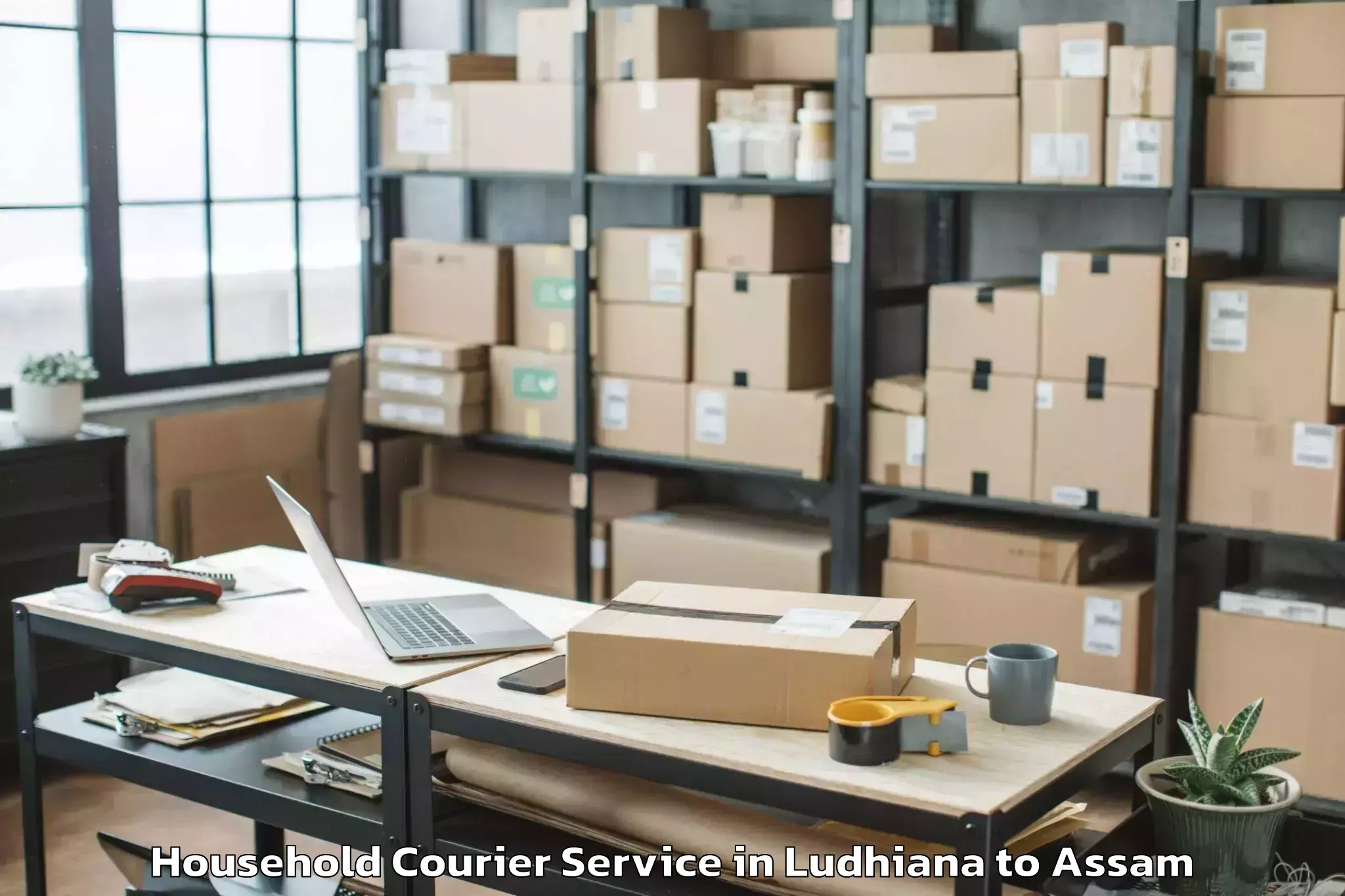 Book Ludhiana to Paneri Kamrup Household Courier Online